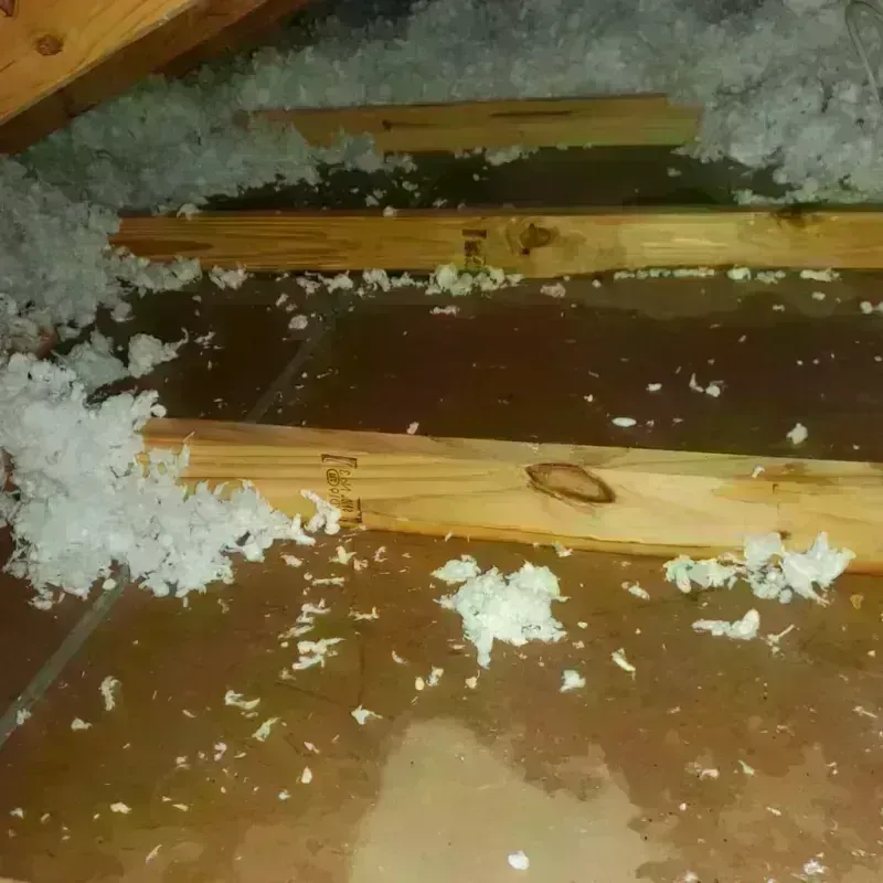 Attic Water Damage in Randolph, WI